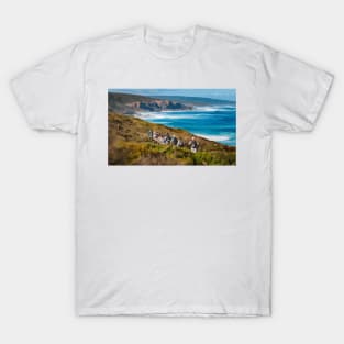 Cape to Cape Track Painting T-Shirt